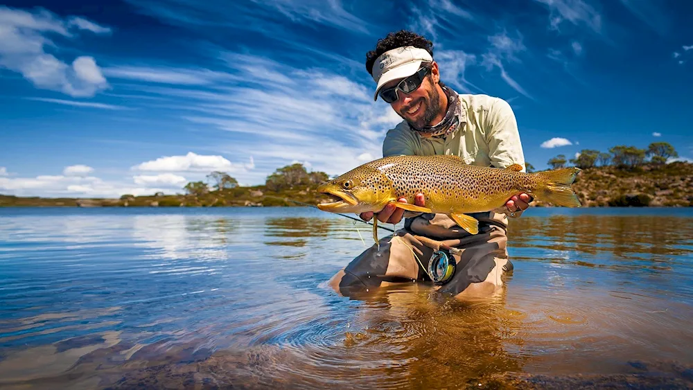 Fishing background