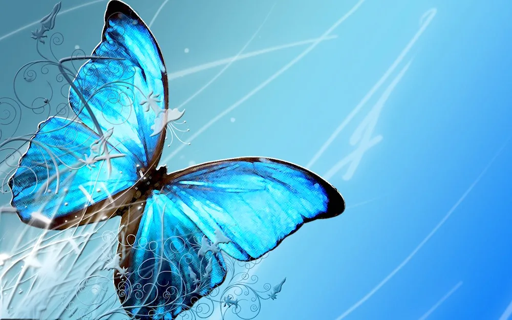 Butterfly wallpaper with butterflies