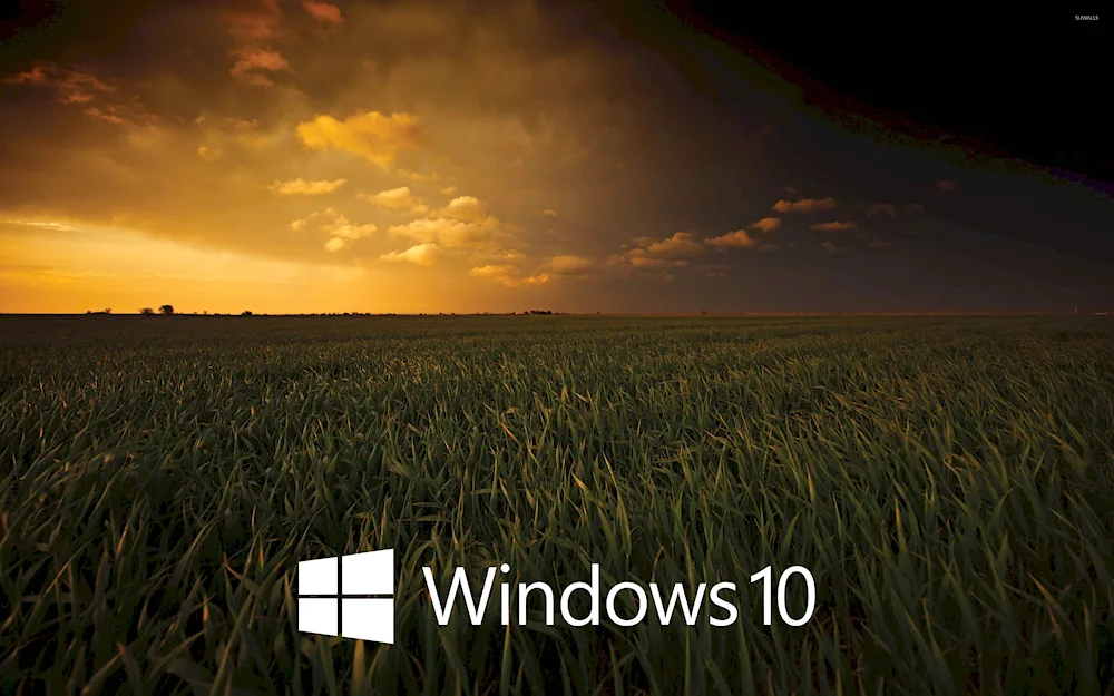 Windows 10