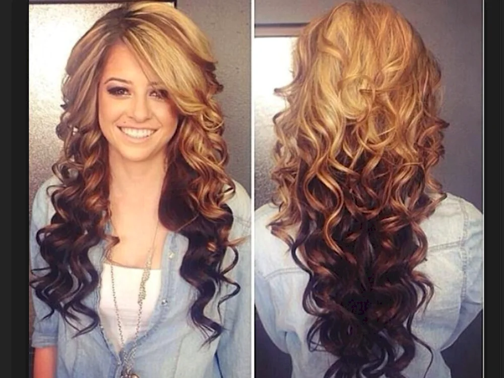 Back ombré light roots dark ends