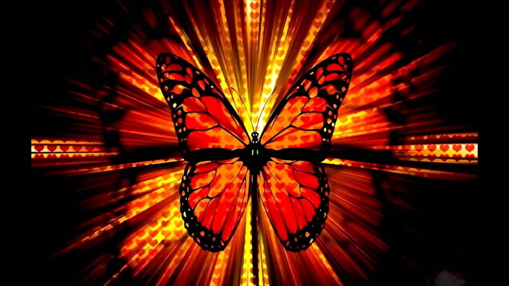 Fiery butterfly