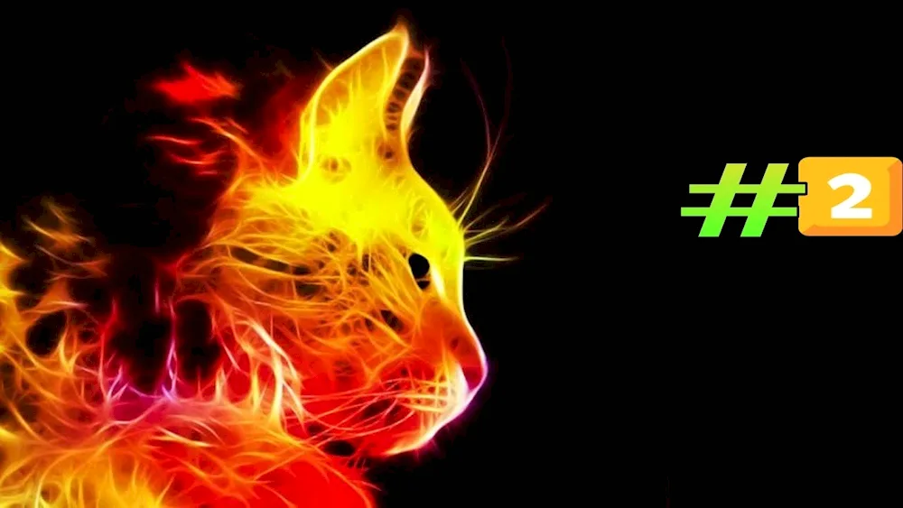 Fiery cat