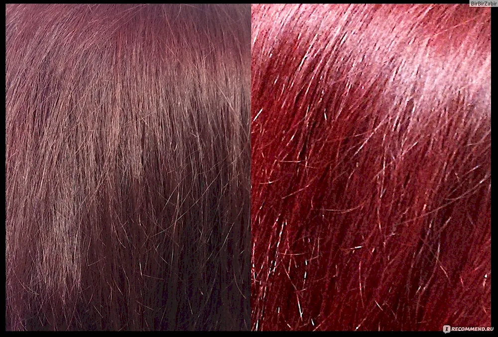 Fiery burgundy 4. 62 Garnier