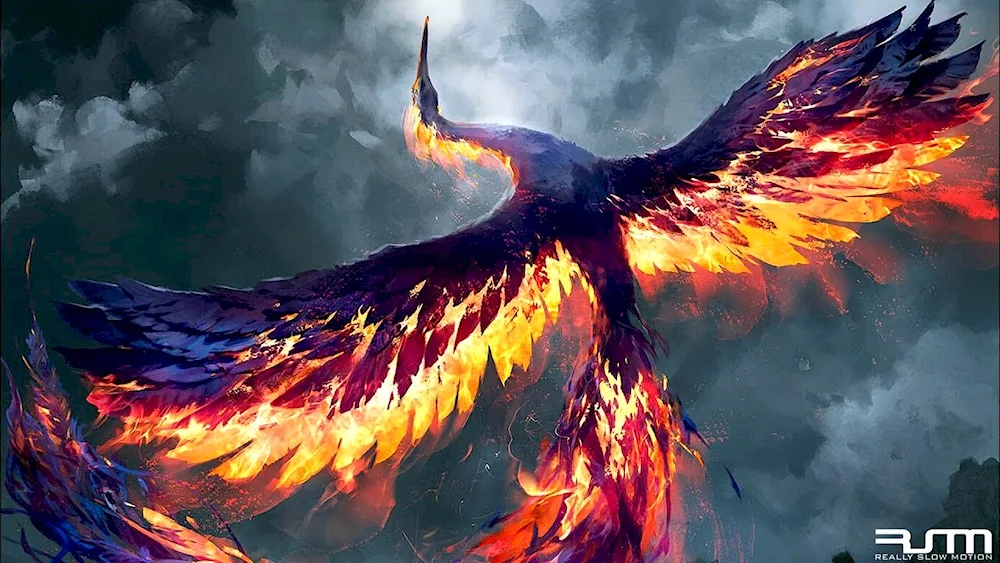 Fire Phoenix Dilyuk
