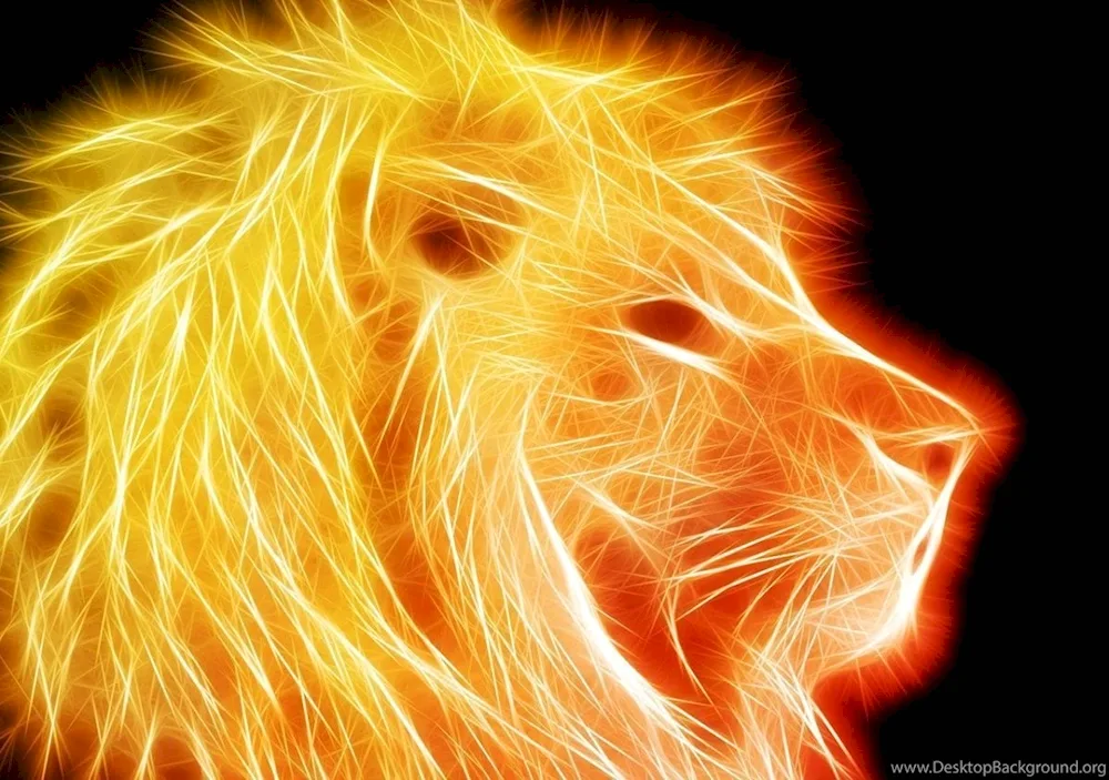 Fiery Lion