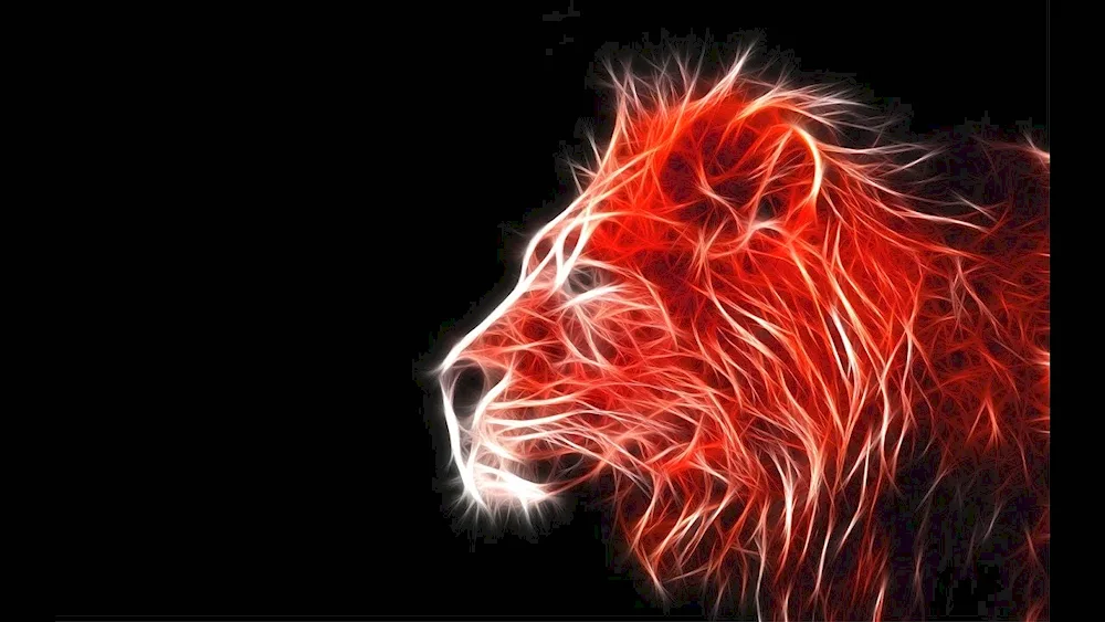 Beautiful. Lion