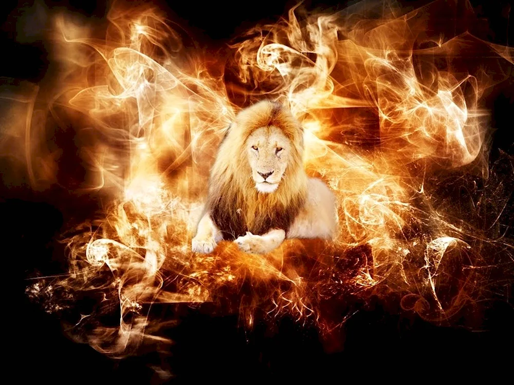 Fiery Lion of Kumadori
