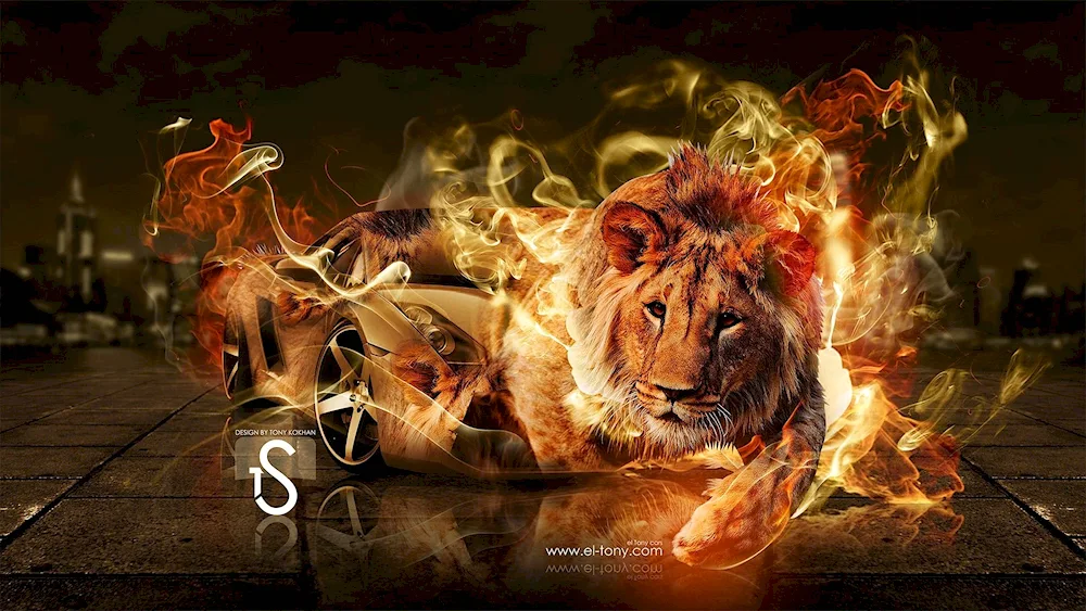 Fiery Lion
