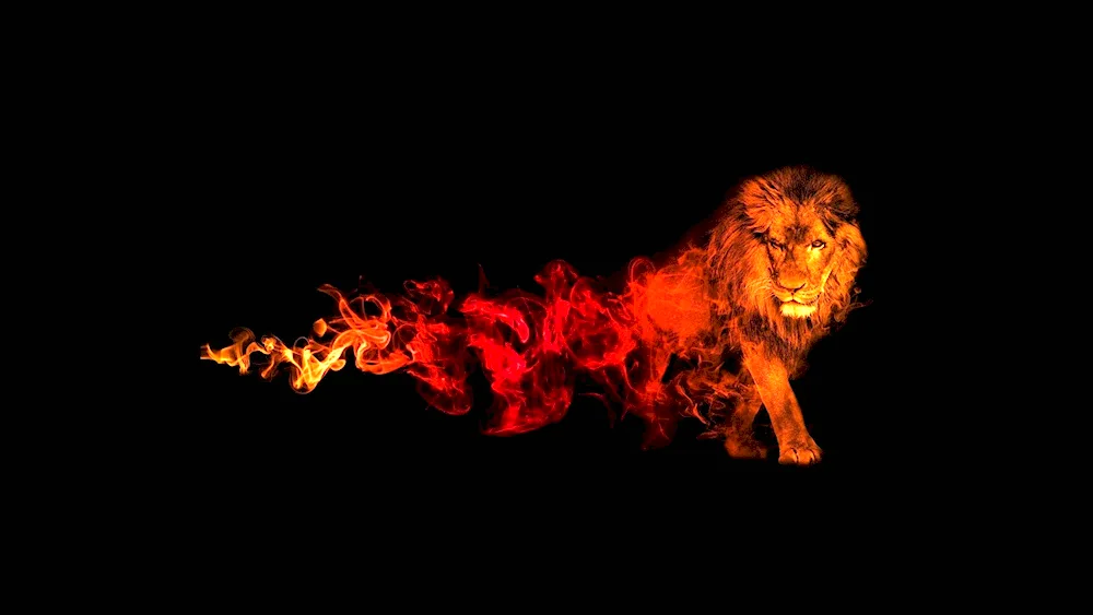Fiery Lion