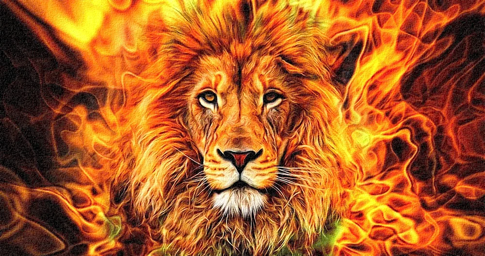 Lion art