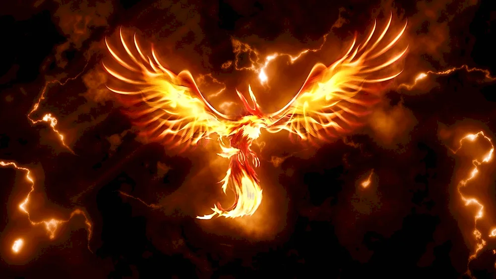 Phoenix Bird Rising from the Ashes Legend