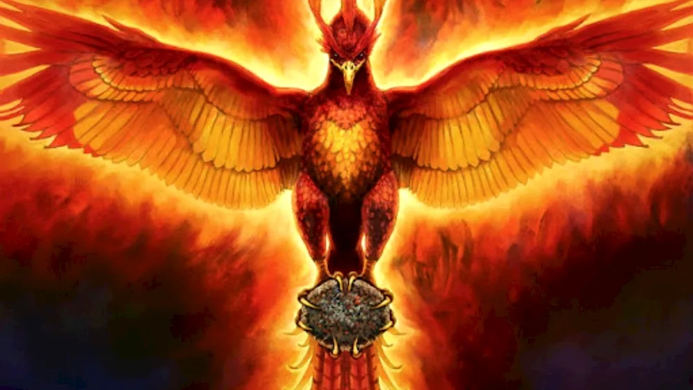 Phoenix Bird Phoenix Reborn