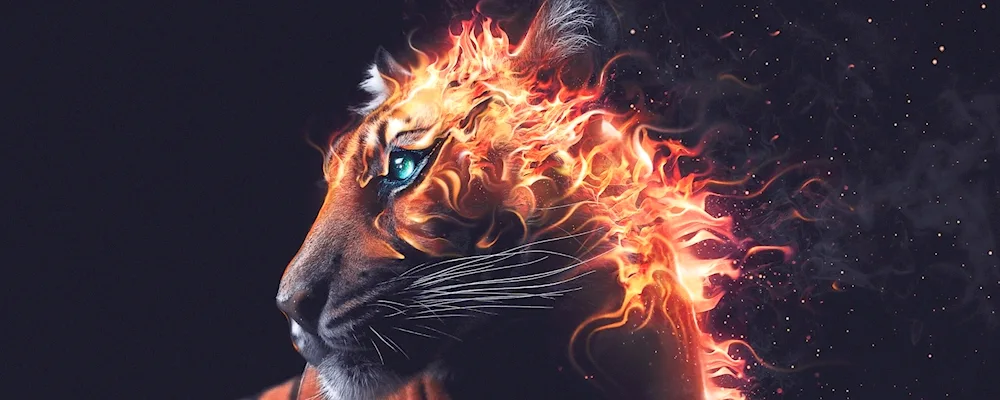 Lion