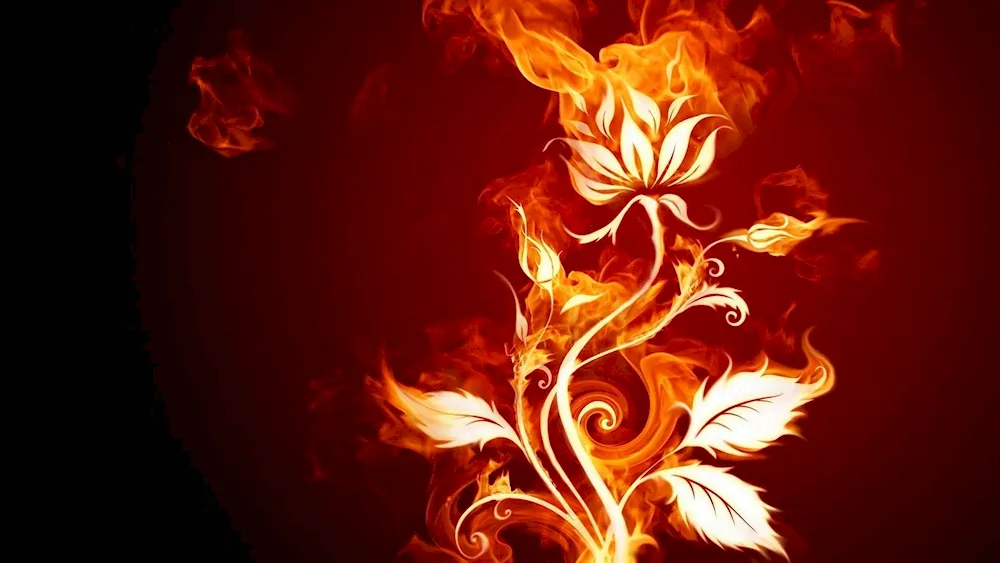 Fire