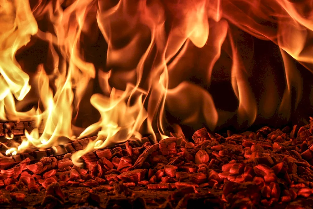 Beautiful fire