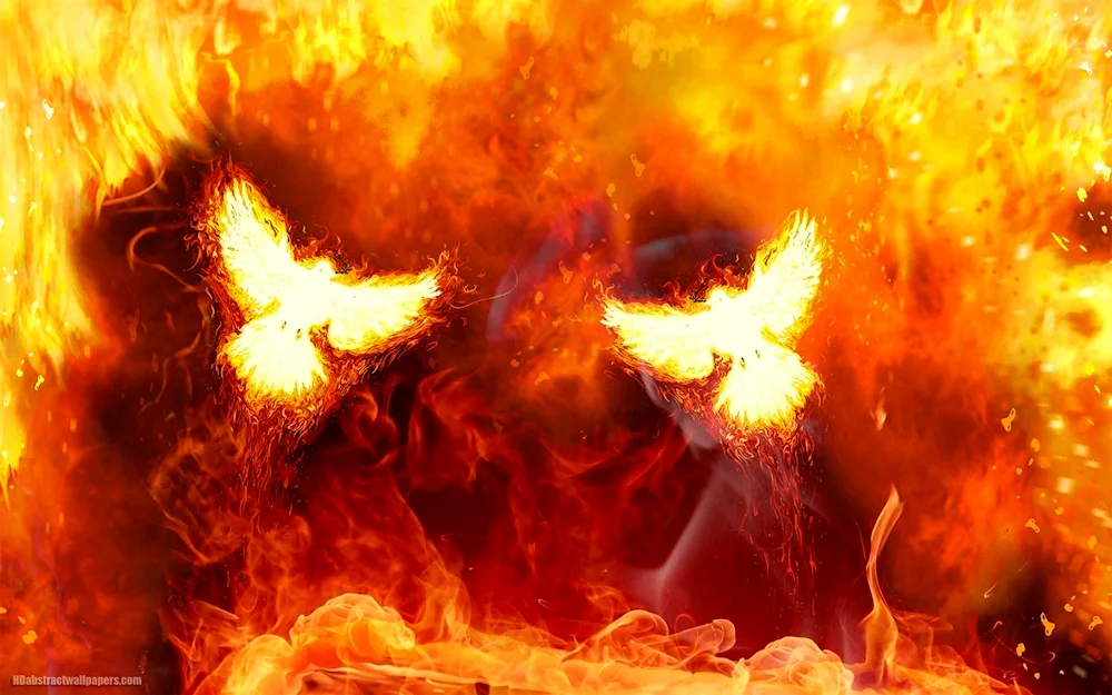 Fire