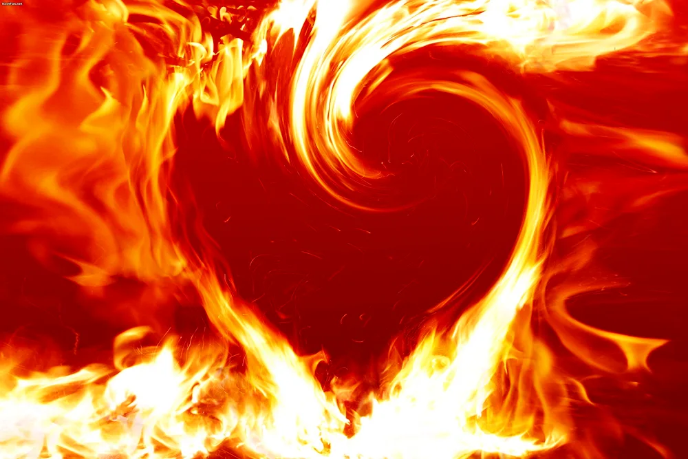 Love fire. heart