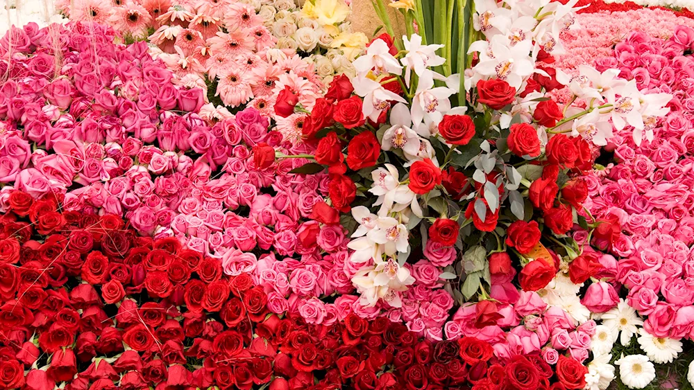 Pion bouquet of pink carnations