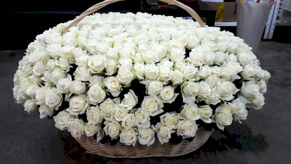 Beautiful bouquet of white roses