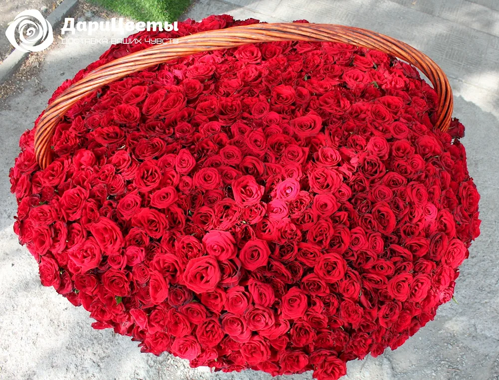 Huge bouquet of roses