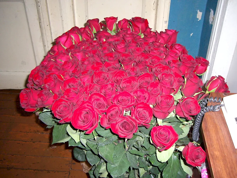 Bride's bouquet of roses and gypsophila