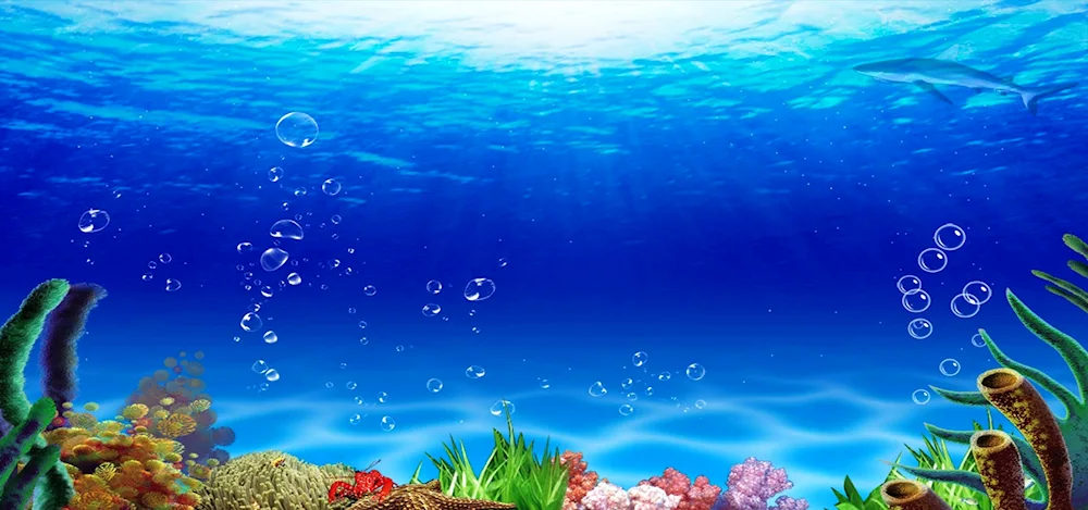 Ocean underwater