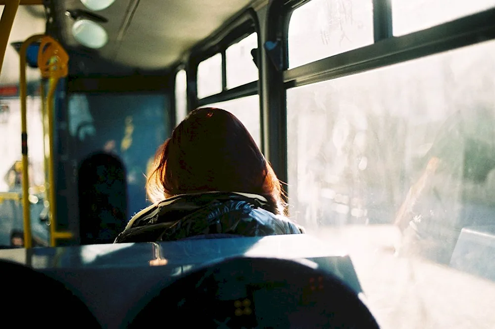Bus window