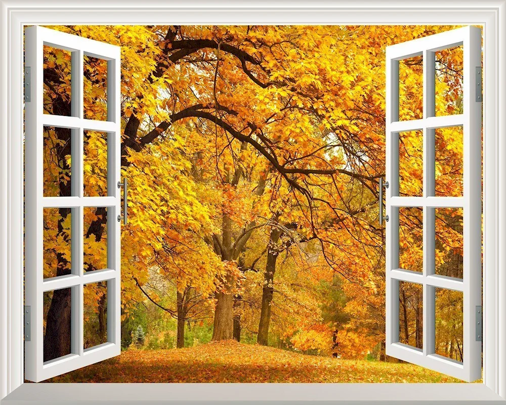 Outside window autumn