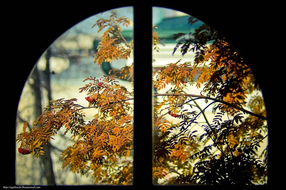 Winter window winter