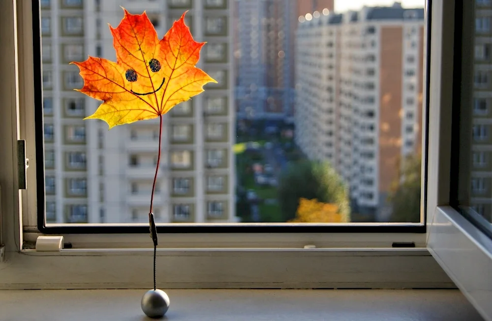 Autumn window still life