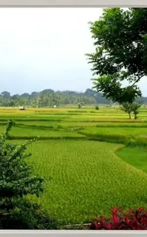 Window with a beautiful view