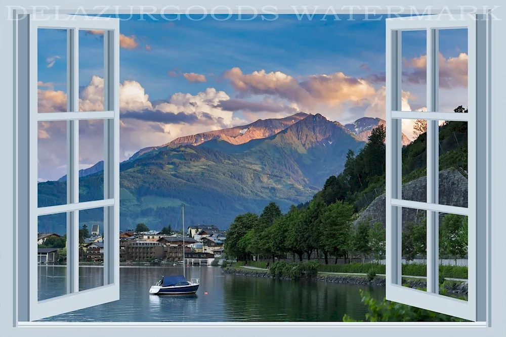 Window view of the forest