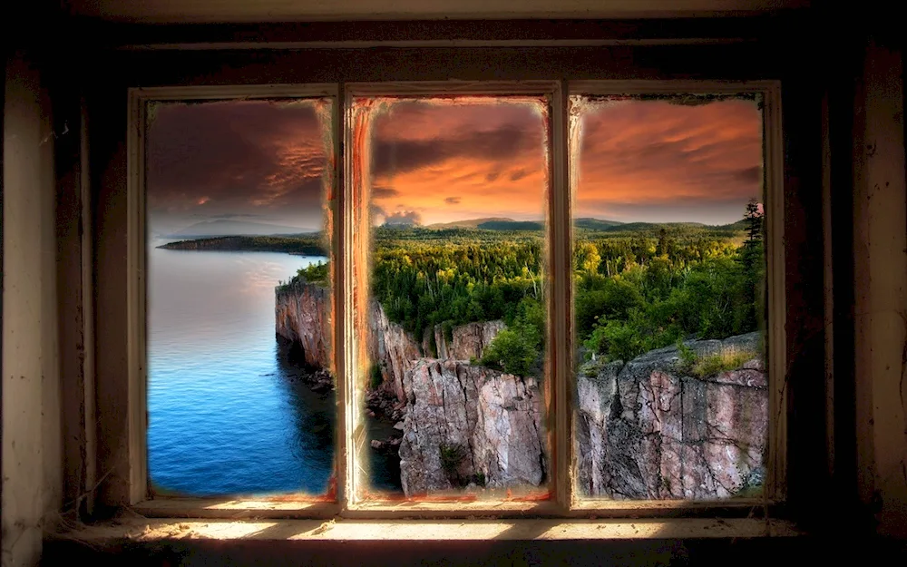 Window with a view of nature