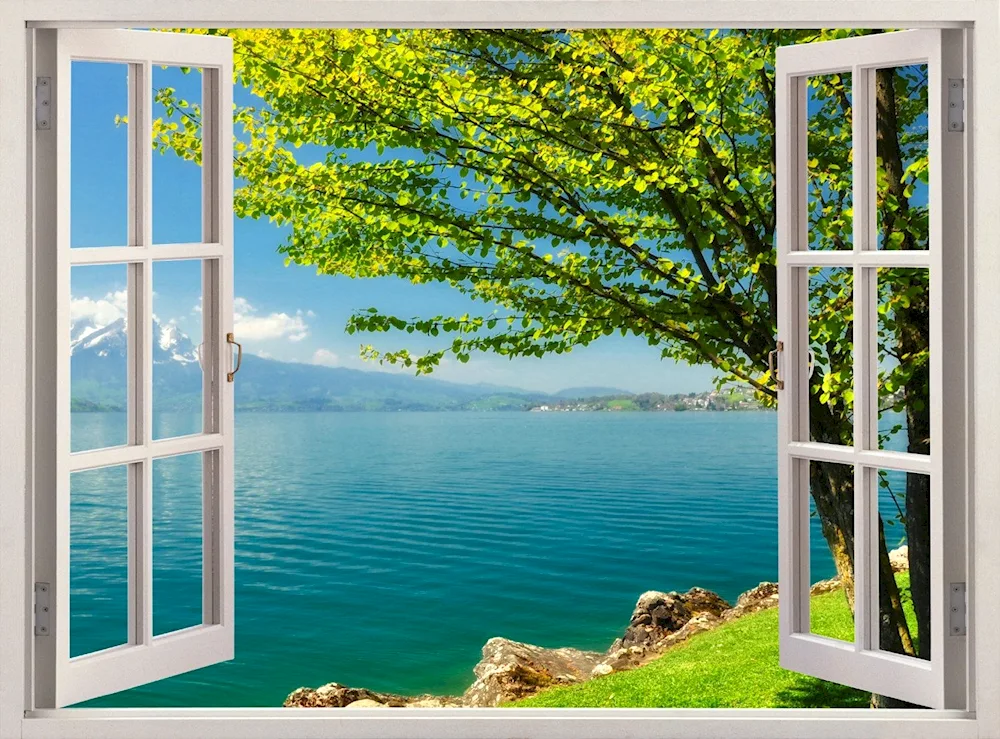 Window view of nature