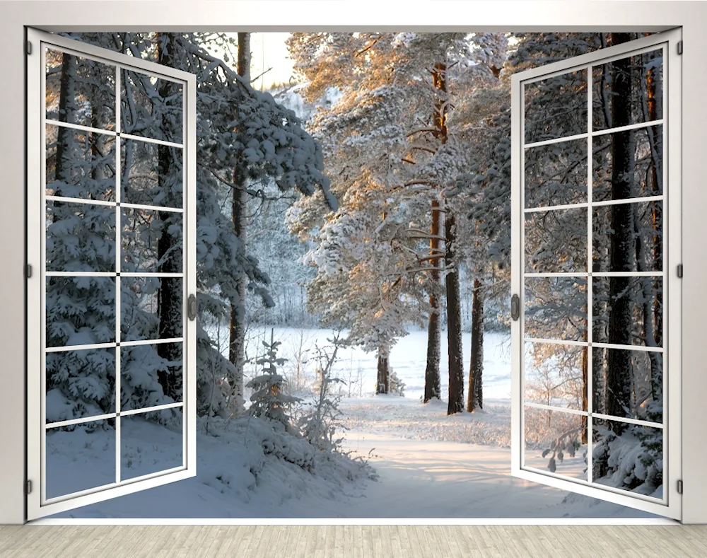 Winter window with winter landscape