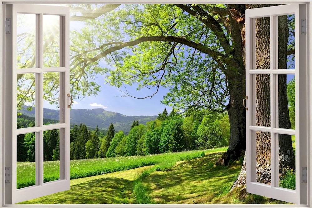 Window in nature