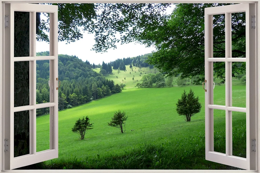 Window to nature