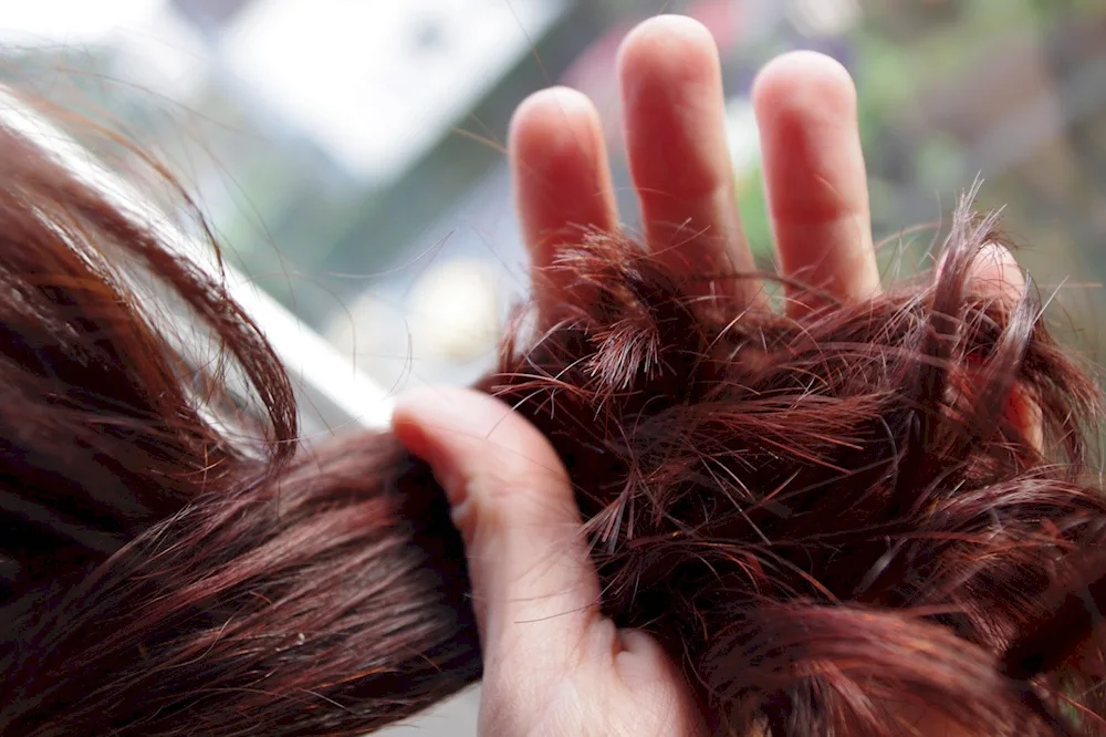 Hnna hair dyeing