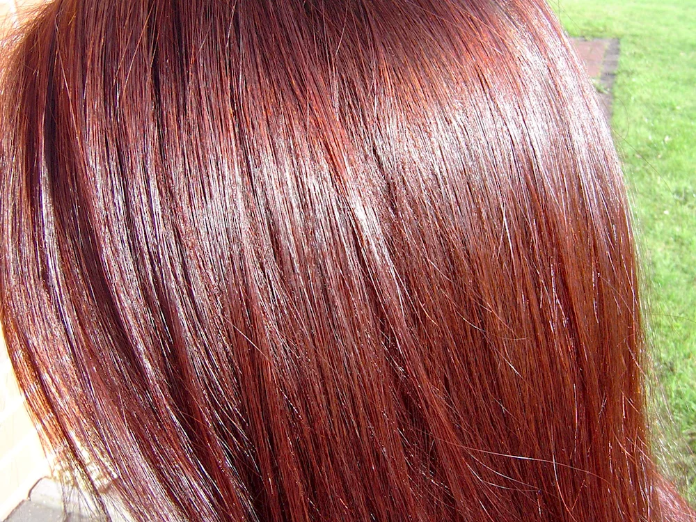 Cognac hair dye