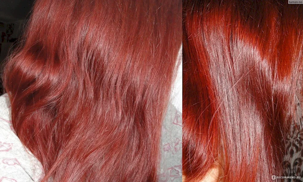 Spicy chestnut garnier