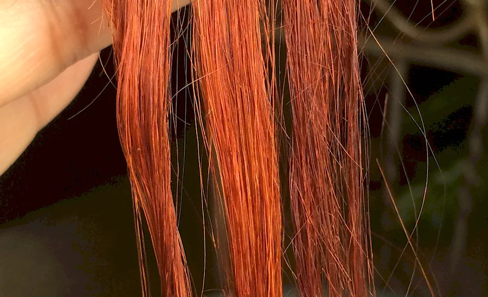 Copper Titian