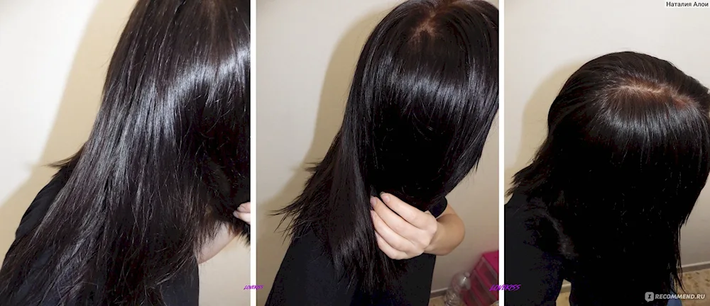 HaNa Dyeing for Grey Hair