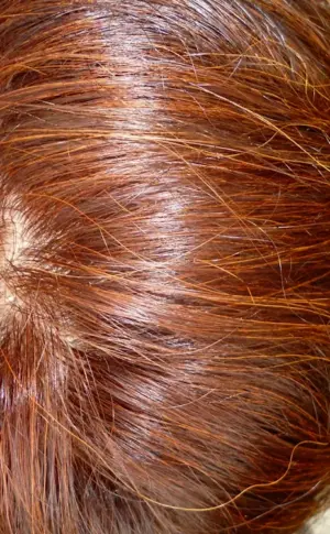 Henna henna dye for grey hair