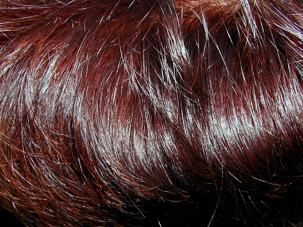 Hnna dyes grey hair
