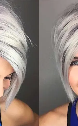 Pixie Bob 2022