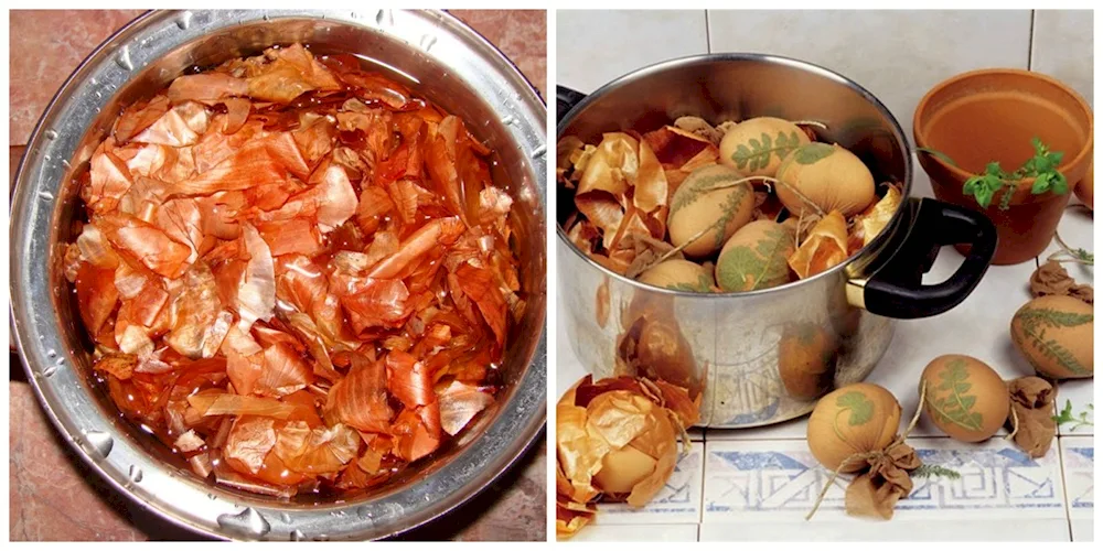 Hunny hair dyeing with onion husk