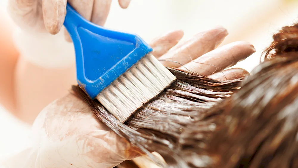 A haircut in a hairdresser's