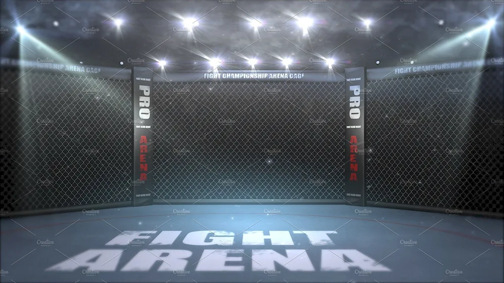 MMA Octagon