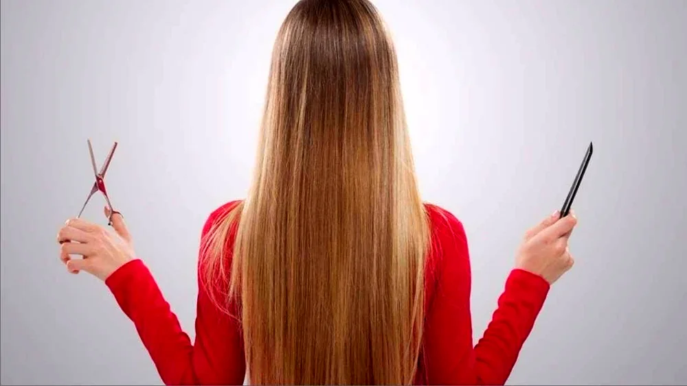 Old Comb holds hair
