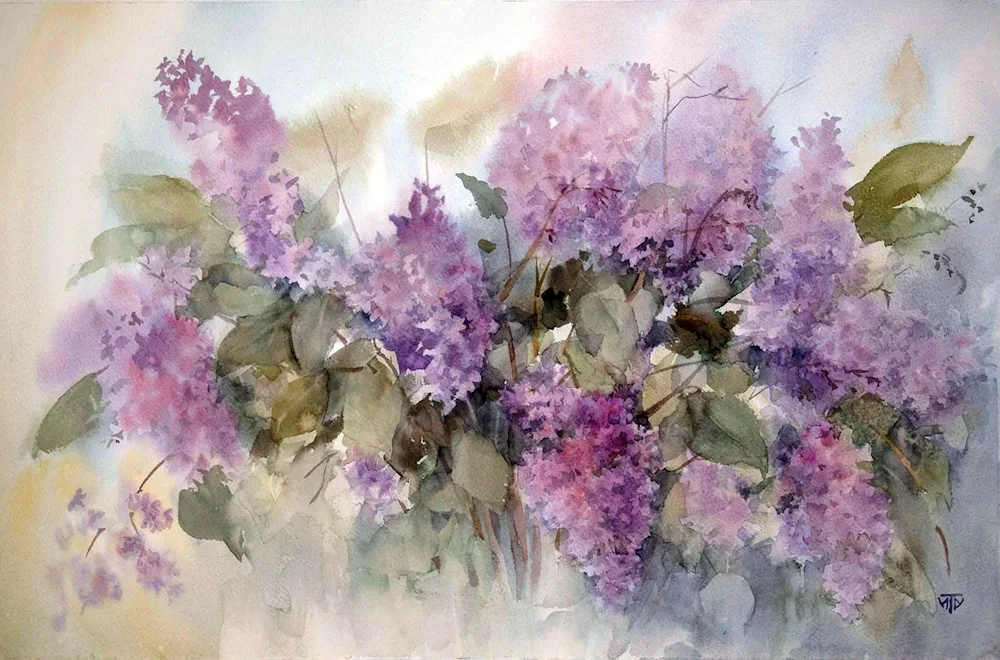 Bouquet of lilacs